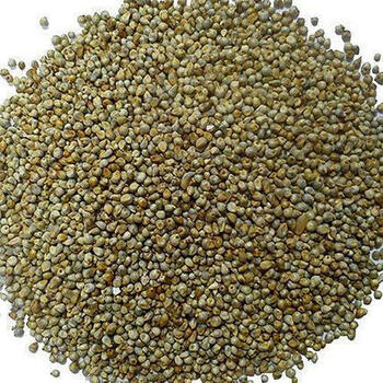 Bajra Seeds 1Kg.