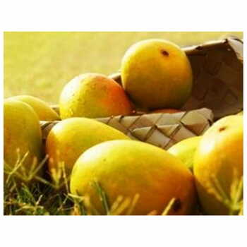 Mango Kesar Kaybee Per Box