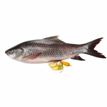 Rohu Fish Per Kg
