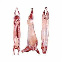 Goat Meat Ex Per Box 10kg.