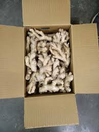 Ginger 5kg box