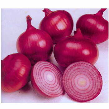 Red Onion Small Indian