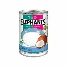 Elephant Coconut Milk Per Carton