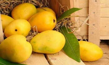 Mango Simran Pakistani Per Box