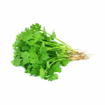 Coriander Per Piece