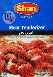 Shan Meat Tenderizer 40g